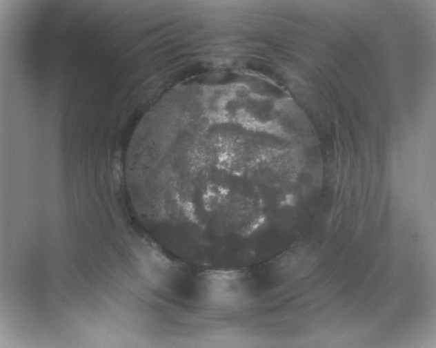 X0000070250085200606161923