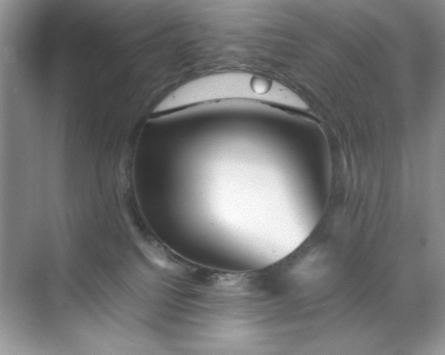 X0000070250088200606161923