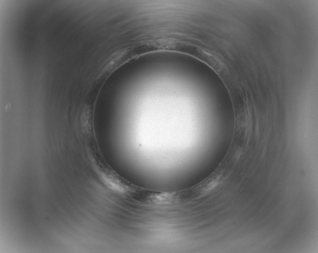 X0000070250092200606161923