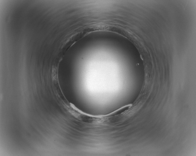 X0000070250096200606161923