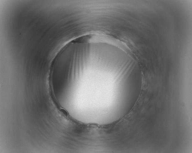 X0000070250098200606161922