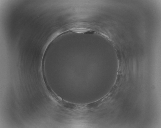 X0000070250099200606161922