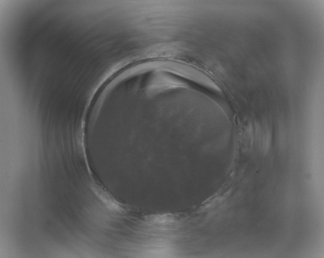 X0000070250100200606161922