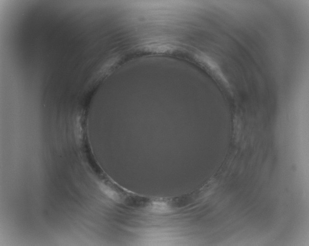 X0000070250114200606161922