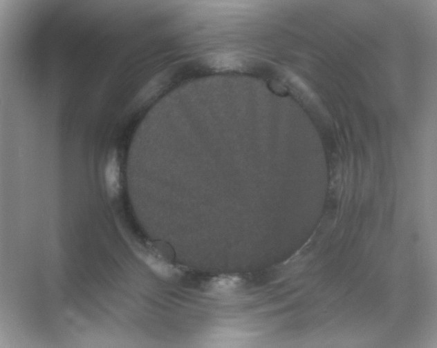 X0000070250124200606161922