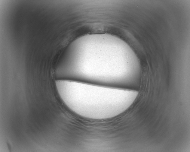 X0000070250125200606161922