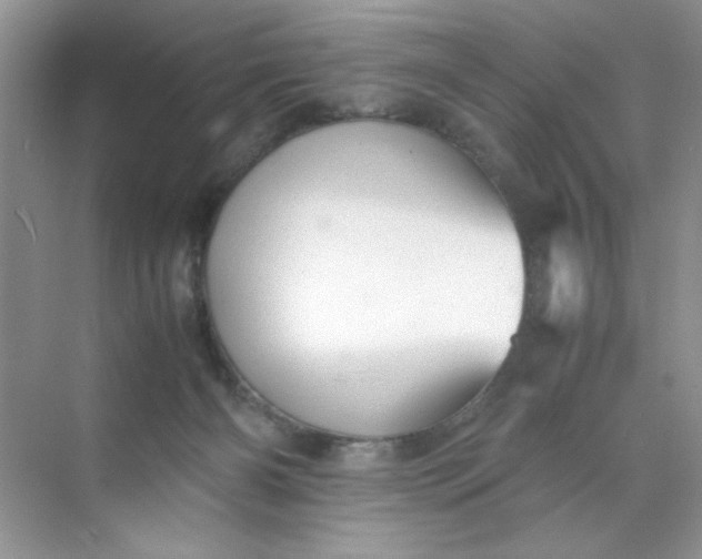 X0000070250126200606161922
