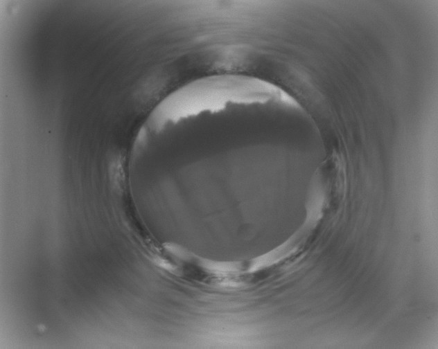 X0000070250127200606161922