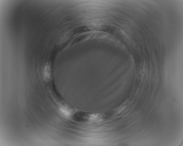 X0000070250130200606161922