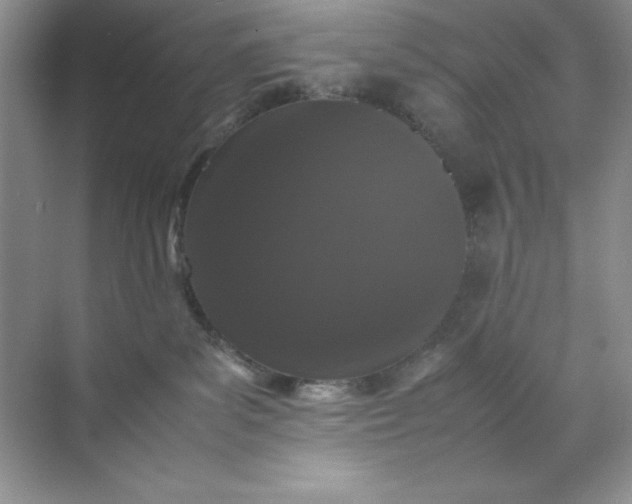 X0000070250139200606161922