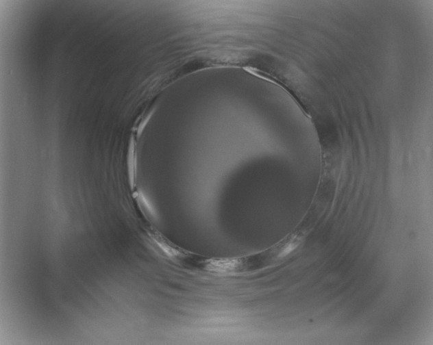 X0000070250143200606161922