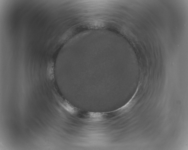 X0000070250144200606161921