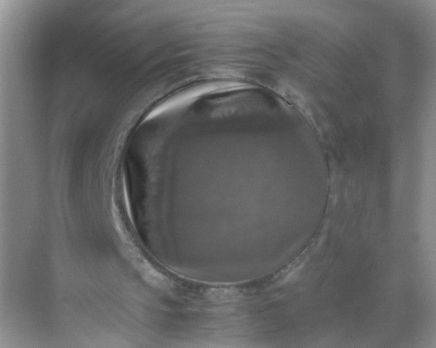 X0000070250145200606161921