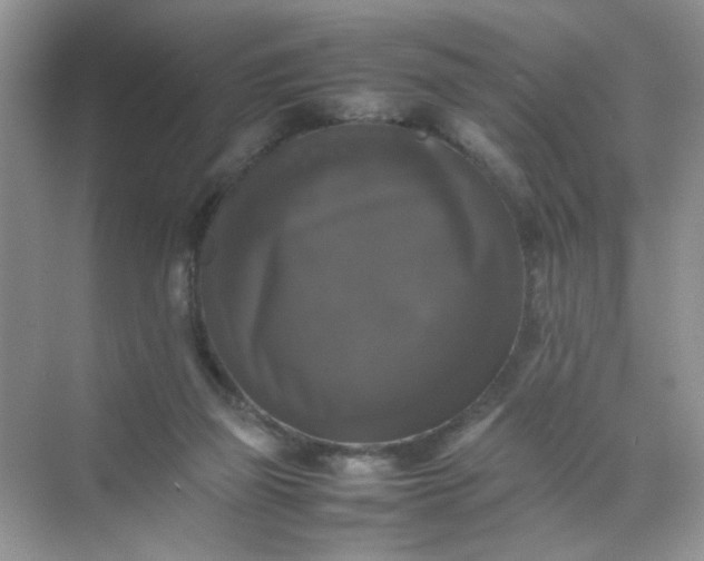 X0000070250165200606161921