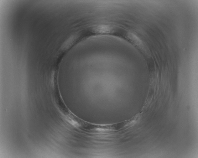 X0000070250167200606161921
