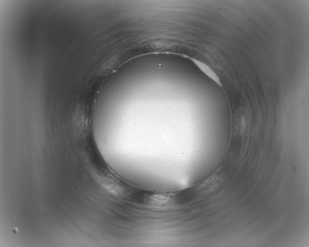 X0000070250176200606161921