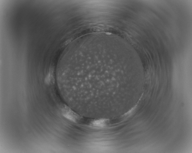 X0000070250178200606161921