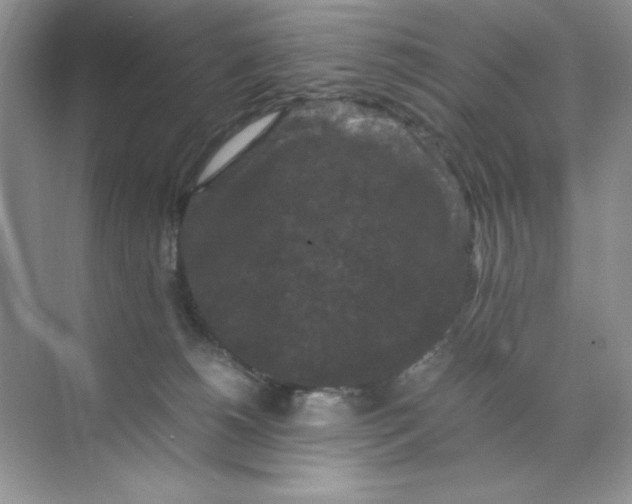 X0000070250180200606161921