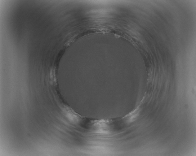 X0000070250182200606161921