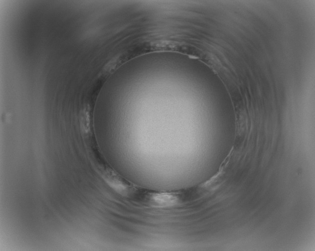 X0000070250183200606161921