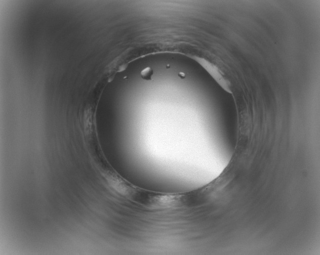 X0000070250184200606161921