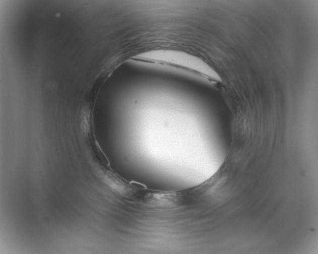X0000070250188200606161921