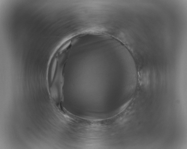 X0000070250196200606161921