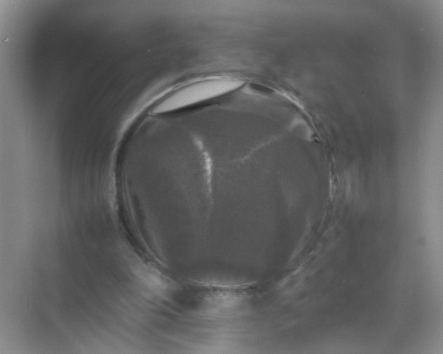 X0000070250198200606161921