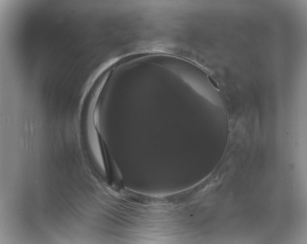 X0000070250200200606161921