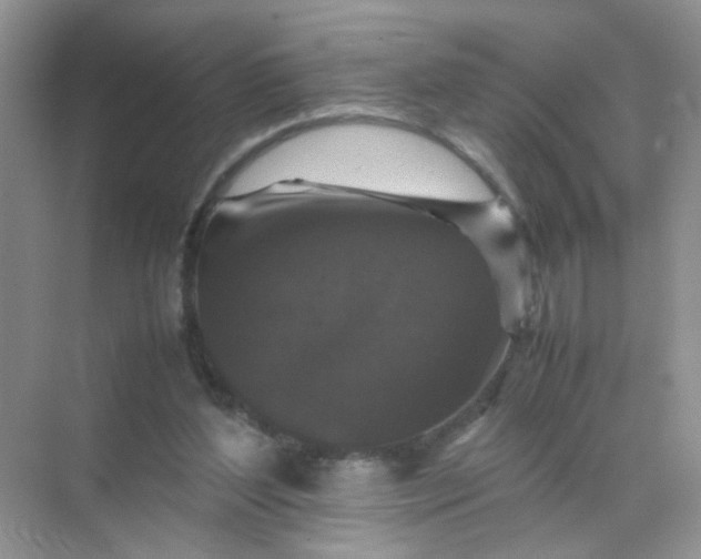 X0000070250204200606161920