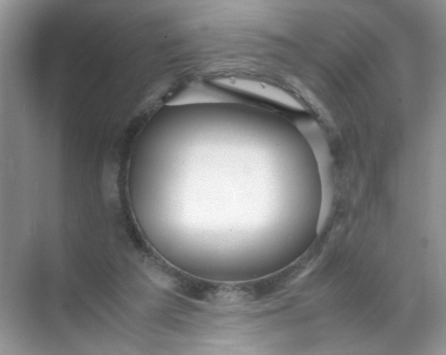 X0000070250209200606161920