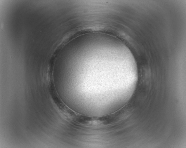 X0000070250212200606161920