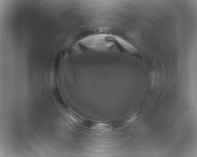 X0000070250222200606161920