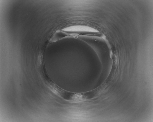 X0000070250227200606161920