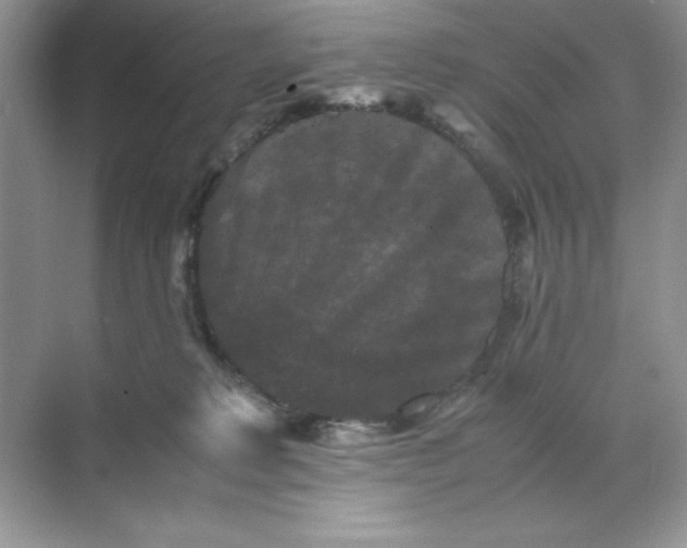 X0000070250229200606161920