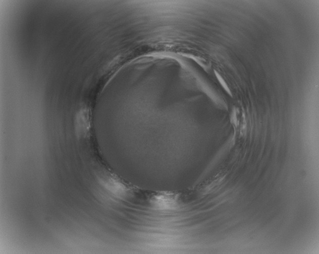 X0000070250232200606161920
