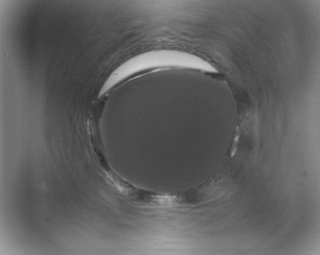 X0000070250233200606161920