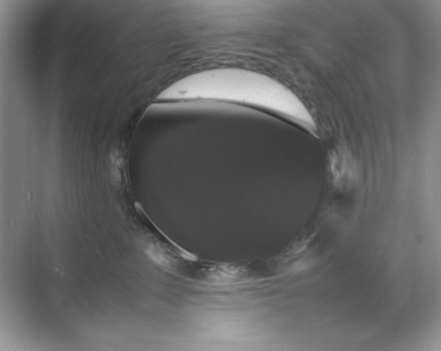 X0000070250235200606161920