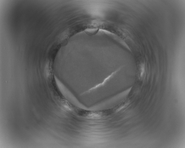 X0000070250236200606161920