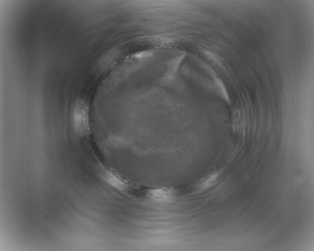 X0000070250238200606161920