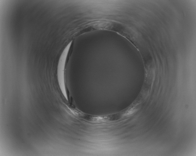X0000070250239200606161920