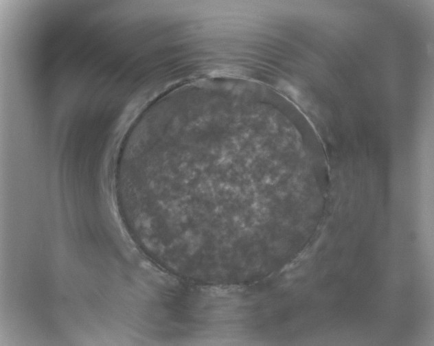 X0000070250241200606161919