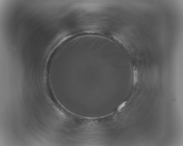 X0000070250243200606161919