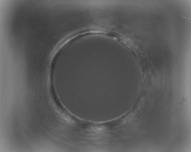 X0000070250247200606161919