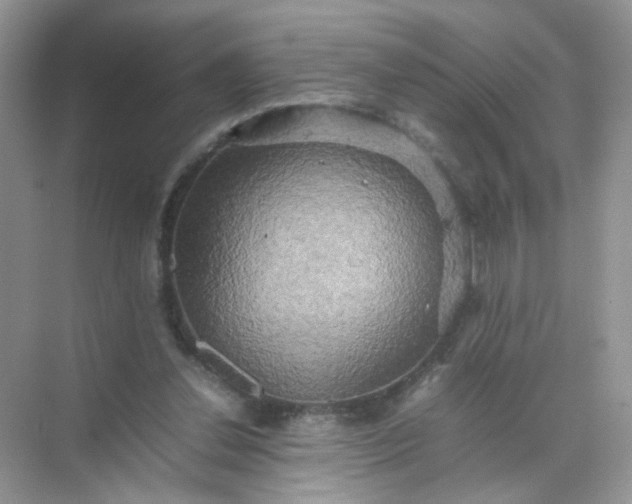 X0000070250252200606161919