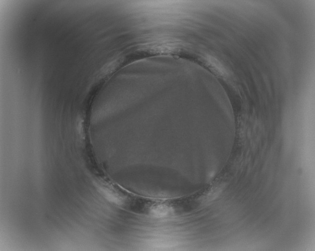 X0000070250258200606161919