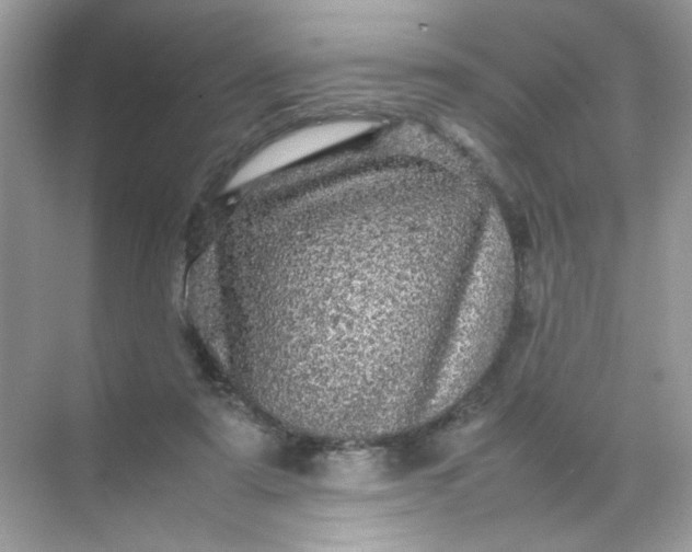 X0000070250307200606161919