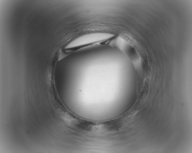 X0000070250309200606161919