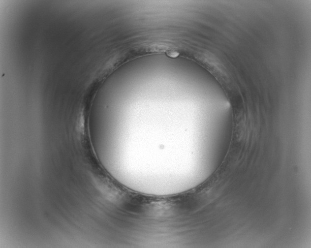 X0000070250310200606161919