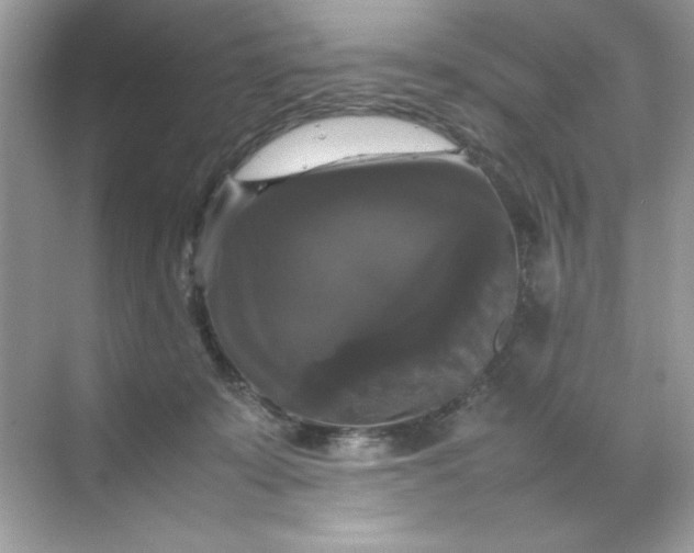 X0000070250319200606161919